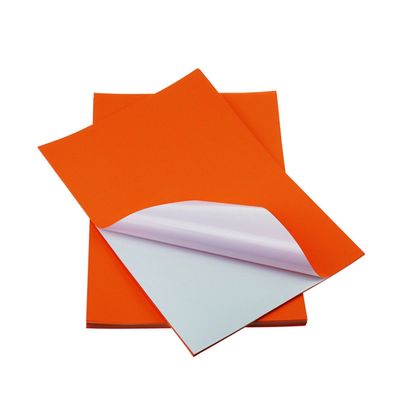 Color A4 Premium 100% Wood Pulp High Adhesive Sticker Paper Letter Size Vinyl Sticker Paper